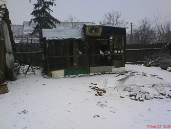 DSC03315.jpg