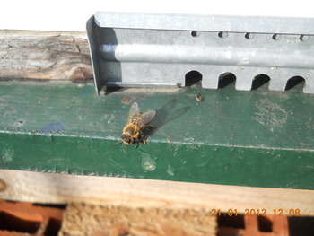 rsz_dscn2525.jpg
