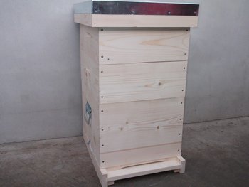 Picture (Copy).jpg