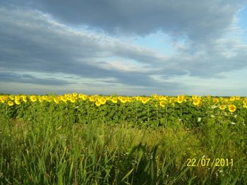 100_6487.jpg