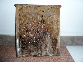 P1020183.JPG