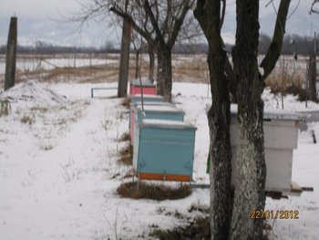 IMG_2976.JPG