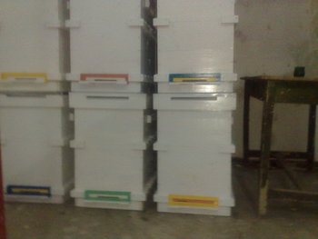 23012012808.jpg