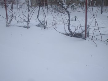 DSCF5682.JPG