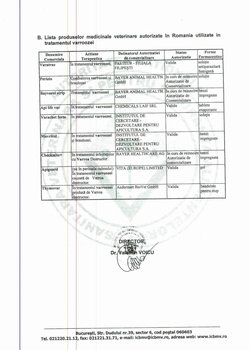 pag2.JPG