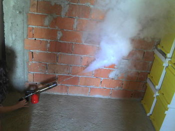 rofureto2_opt.jpg