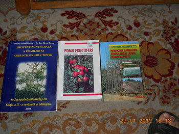 rsz_1dscn2551.jpg