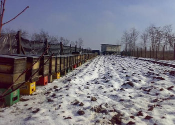 ok_161654.jpg