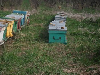 DSCF6194 (Medium).JPG