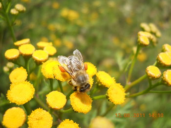rsz_dscn1572.jpg