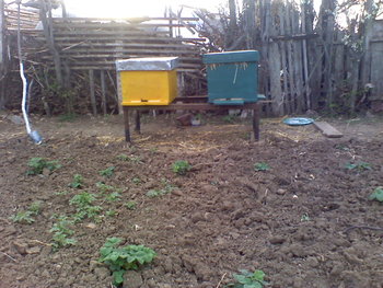 Foto_0709.jpg