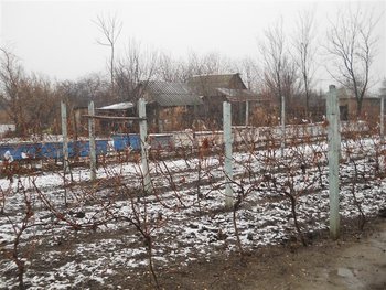 DSCN0102 (Medium).jpg