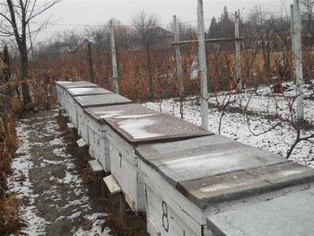 DSCN0105 (Medium).jpg