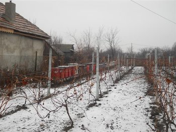 DSCN0108 (Medium).jpg