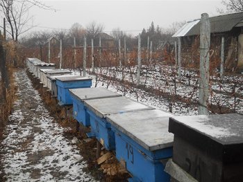 DSCN0113 (Medium).jpg