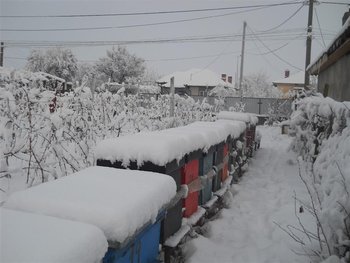 DSCN2207 (Medium).jpg