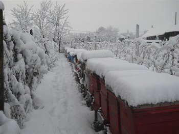 DSCN2208 (Medium).jpg