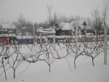 DSCN2266 (Medium).jpg