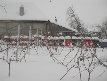 DSCN2267 (Medium).jpg