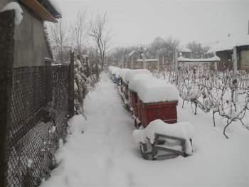DSCN2268 (Medium).jpg