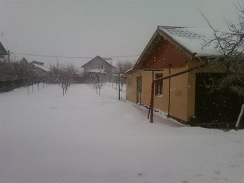 Fotografii-0048 (Medium).jpg