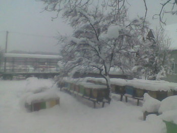 Imag004.jpg