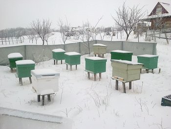 05022012040.jpg