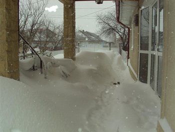DSC06416 (Medium).JPG