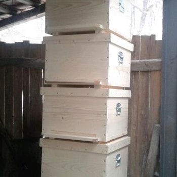 2012-02-03 14.39.30-1.jpg