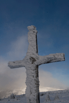IMG_2792.gif