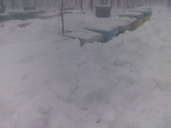 Ian-Feb 2012028.jpg