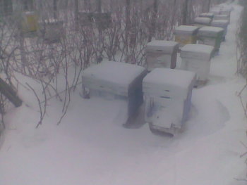Ian-Feb 2012029.jpg