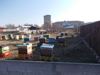 stupi 012.JPG