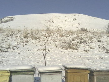 P28-01-12_15.40.jpg