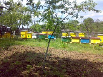 280520111470 (Small).jpg