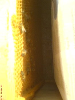 DSC03379.JPG