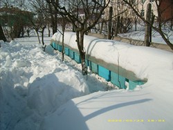 DSCI1124.JPG