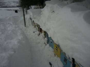 P12-02-12_10.20.jpg