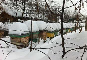 IMG_5243.JPG