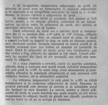___Iernarea in adapost 2.JPG
