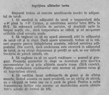 ___Iernarea in adapost 1.JPG