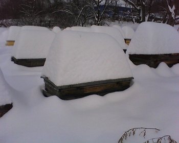 DSC-0051.jpg