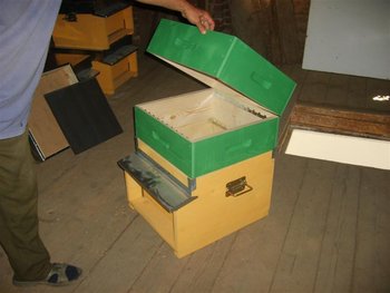 S6004066 (Medium).JPG