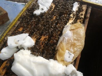 2012-02-23 13.38.42.jpg