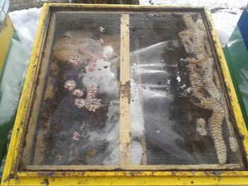 2012-02-23 13.53.22.jpg