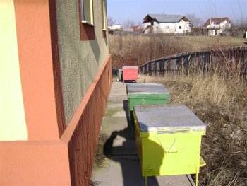 DSC01281 (Medium).JPG (89.38 KiB) Vizualizat de 1645 ori DSC01281 (Medium).JPG