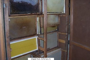 ok_21362[1].jpg