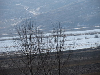 zbor de curatire feb. 2012 033.jpg