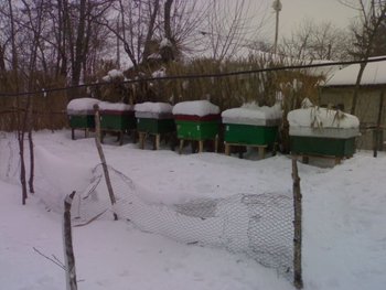 110220121200.jpg