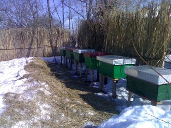 250220121223.jpg